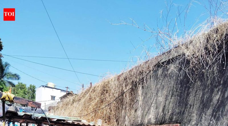 पुणे बनावट दारूच्या दुर्घटनेत सर्वाधिक बळी रोजंदारी कामगार होते; डॉक्टर गंभीर मिथेनॉल विषबाधा लक्षणांकडे निर्देश करतात पुणे बनावट दारूच्या दुर्घटनेत सर्वाधिक बळी रोजंदारी कामगार होते; डॉक्टर गंभीर मिथेनॉल विषबाधा लक्षणांकडे निर्देश करतात