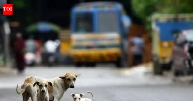 कुत्र्याच्या अंगावर गाडी चालवली; चालक बुक केला