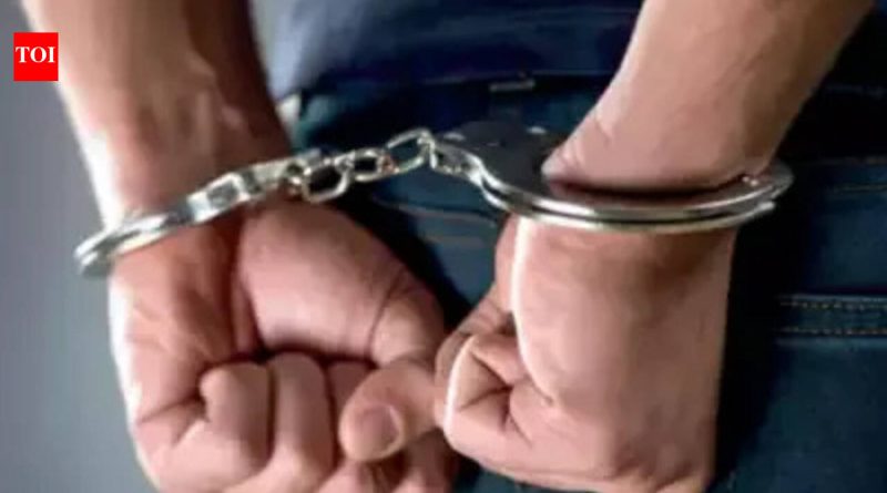 आयटी फर्मच्या हिंजवडी शाखेने प्रोजेक्टशिवाय अनेक फ्रेशर्सना कामावर घेतले, सरकारच्या आयटी कॉन्ट्रॅक्टवर डोळा: हिंजवडी कंपनीच्या सीईओच्या अटकेनंतर पोलिस