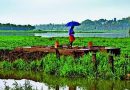 मान्सूनने महाराष्ट्राचे दार ठोठावले आहे, परंतु कोरड्या हवेच्या ड्रॅगने देशांतर्गत कूच करण्याचा धोका आहे मान्सूनने महाराष्ट्राचे दार ठोठावले आहे, परंतु कोरड्या हवेच्या ड्रॅगने देशांतर्गत कूच करण्याचा धोका आहे