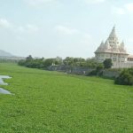 आषाढी वारीपूर्वी देहूजवळील इंद्रायणी नदीत मृत मासे आढळल्याने प्रदूषणाची चिंता वाढली आहे.