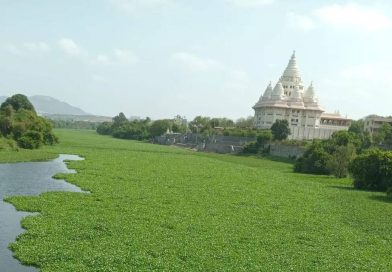 आषाढी वारीपूर्वी देहूजवळील इंद्रायणी नदीत मृत मासे आढळल्याने प्रदूषणाची चिंता वाढली आहे. आषाढी वारीपूर्वी देहूजवळील इंद्रायणी नदीत मृत मासे आढळल्याने प्रदूषणाची चिंता वाढली आहे.