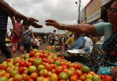 पुरवठा घटल्याने टोमॅटोचे भाव ३० टक्क्यांनी वाढले पुरवठा घटल्याने टोमॅटोचे भाव ३० टक्क्यांनी वाढले