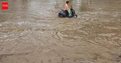मुंबई आणि पुण्यात पाणी साचल्याने सुप्रिया यांनी भाजपवर निशाणा साधला