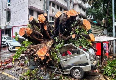 50 हून अधिक झाडे पडण्याची प्रकरणे अग्निशमन दलाच्या कर्मचाऱ्यांना त्यांच्या अंगठ्यावर ठेवतात 50 हून अधिक झाडे पडण्याची प्रकरणे अग्निशमन दलाच्या कर्मचाऱ्यांना त्यांच्या अंगठ्यावर ठेवतात