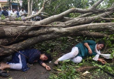 जनता वसाहत येथे वटवृक्ष अंगावर पडल्याने दोन महिला जखमी | पुणे बातम्या जनता वसाहत येथे वटवृक्ष अंगावर पडल्याने दोन महिला जखमी | पुणे बातम्या