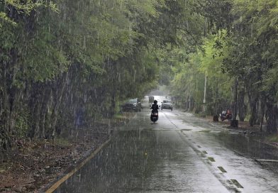 भारतातील बहुतांश भागात आठवडाभर मान्सून पुनरुज्जीवित होण्याची शक्यता नाही: IMD