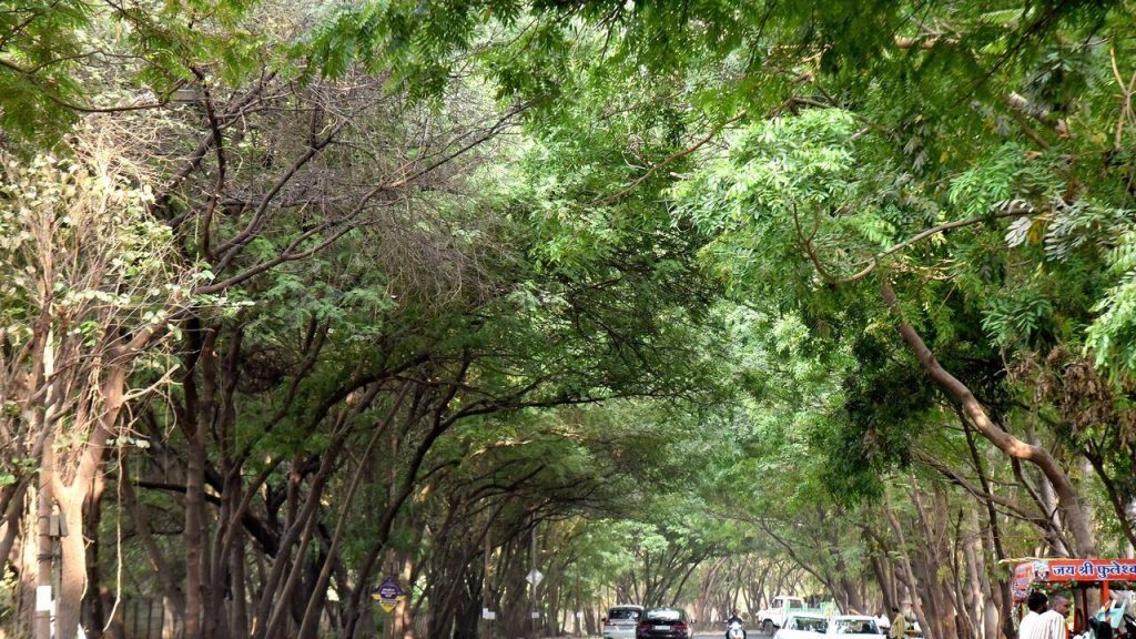 हवामान बदल असूनही भारत हिरवागार होण्याची शक्यता: IITM अभ्यास | पुणे बातम्या