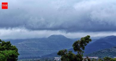 या आठवड्यात पुणे, महाराष्ट्राच्या काही भागात पावसाचा जोर वाढेल: IMD या आठवड्यात पुणे, महाराष्ट्राच्या काही भागात पावसाचा जोर वाढेल: IMD