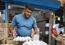 पुरवठा कमी झाल्याने अंड्याच्या किमतीत वाढ होते, पोल्ट्री फीडची किंमत वाढते पुरवठा कमी झाल्याने अंड्याच्या किमतीत वाढ होते, पोल्ट्री फीडची किंमत वाढते