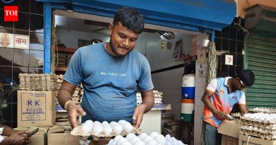 पुरवठा कमी झाल्याने अंड्याच्या किमतीत वाढ होते, पोल्ट्री फीडची किंमत वाढते पुरवठा कमी झाल्याने अंड्याच्या किमतीत वाढ होते, पोल्ट्री फीडची किंमत वाढते